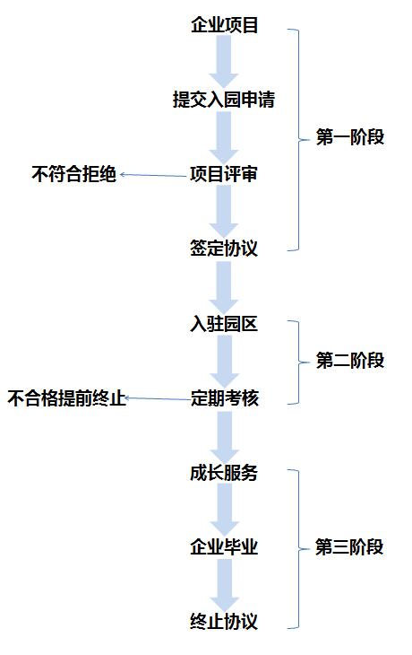 孵化流程.jpg